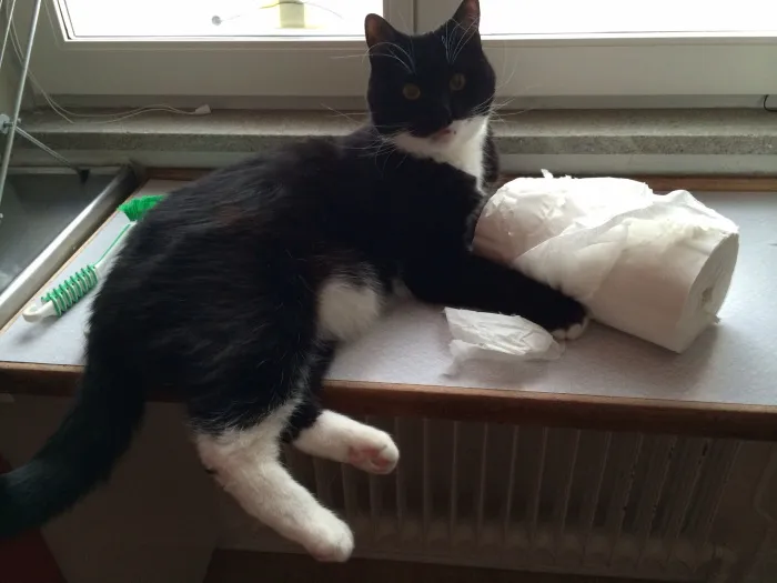 Uh....you're Home Early