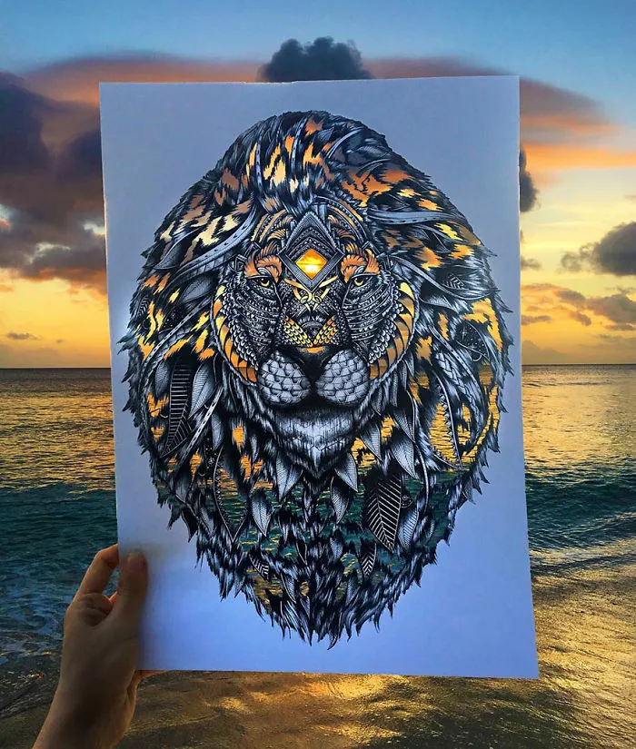 41 Incredibly Detailed Animal Drawings By Faye Halliday