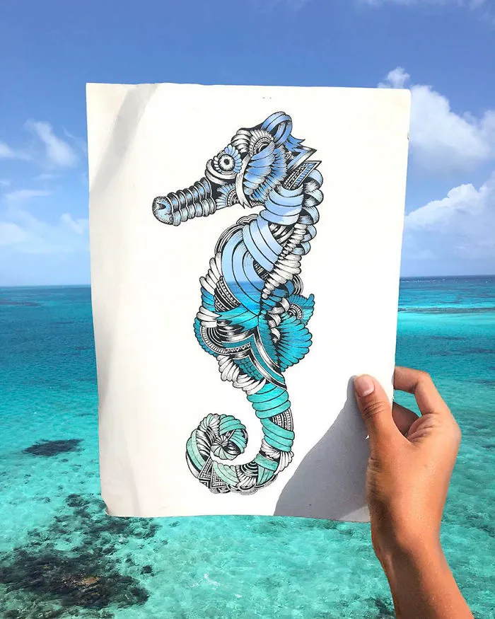 41 Incredibly Detailed Animal Drawings By Faye Halliday
