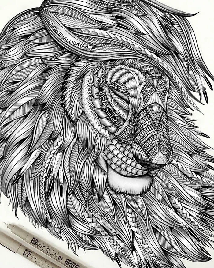 41 Incredibly Detailed Animal Drawings By Faye Halliday