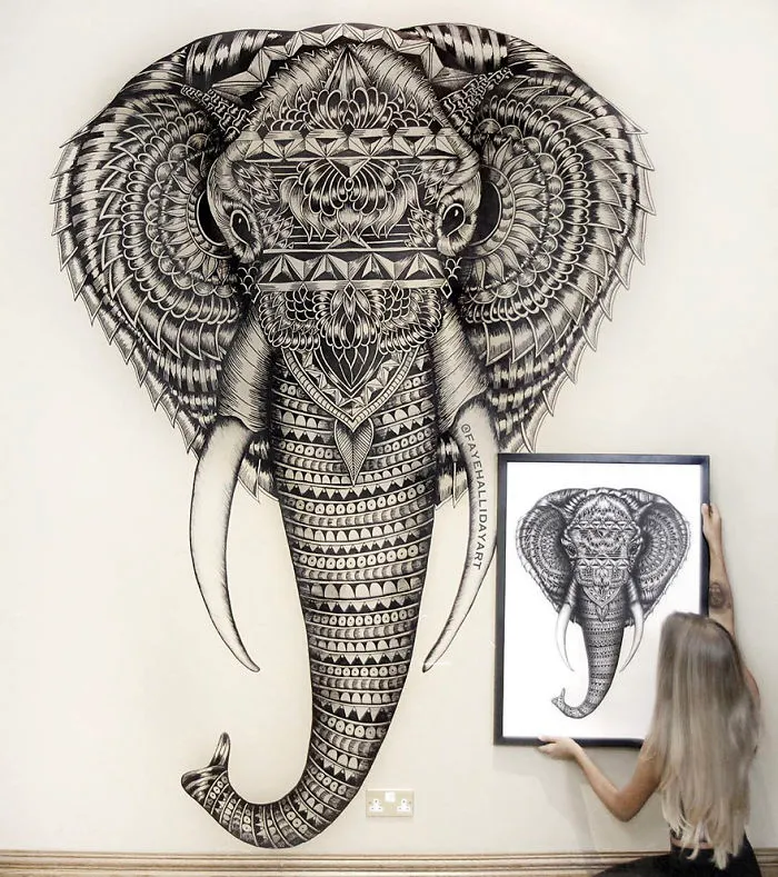 41 Incredibly Detailed Animal Drawings By Faye Halliday