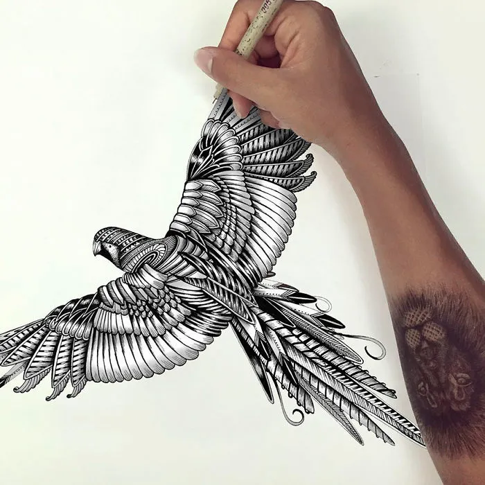 41 Incredibly Detailed Animal Drawings By Faye Halliday
