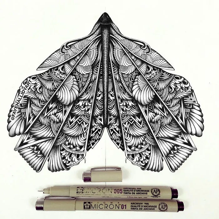 41 Incredibly Detailed Animal Drawings By Faye Halliday