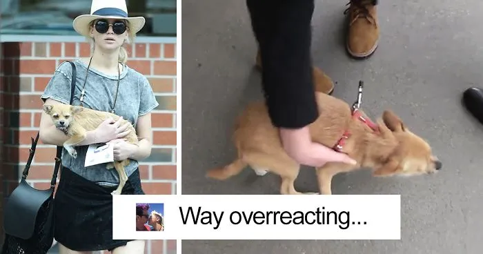 Paparazzo Touches Jennifer Lawrence's Dog, And Her Rude Reaction Sparks Heated Discussions