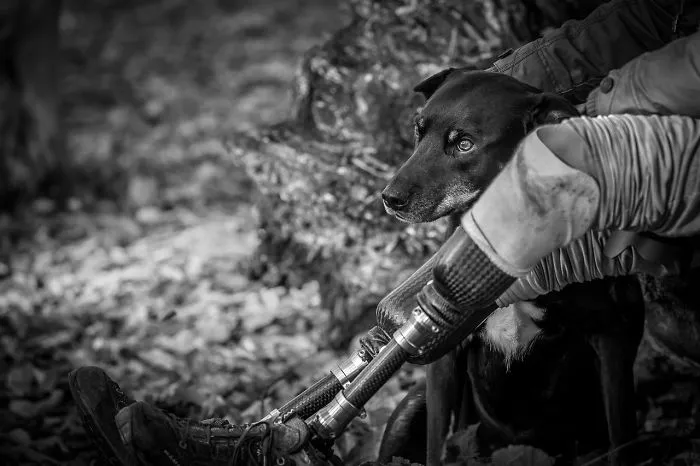 2º lugar en "Perros de asistencia", John Ferrett, Reino Unido