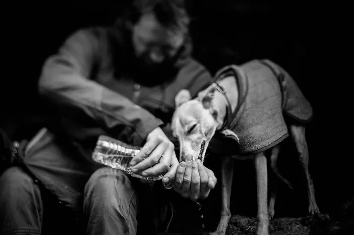 Man’s Best Friend Category 2nd Place Winner Emma Williams, UK