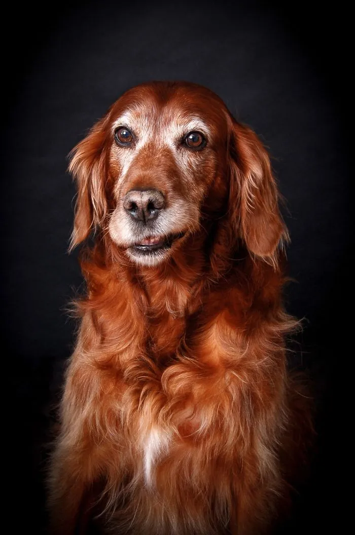 3º lugar en "Ancianos", Tracy Kirby, Irlanda