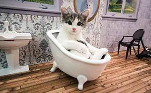"Keeping Up With the Kattarshians" Is Iceland's New Cat Reality TV Show You Need To Watch Right Meow!