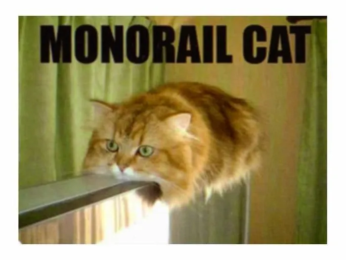 Monorail Cat
