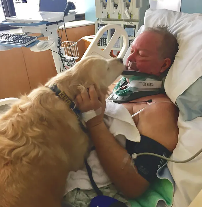 Dog Saves Owner’s Life By Lying On Him For Nearly 24 Hours In Freezing Conditions