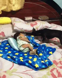 Perro que te cuida