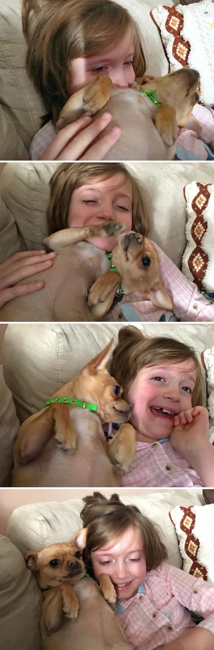 Mi hija tiene epilepsia, la enfermedad de Von Willebrand y síndrome de déficit de atención, y el perro no le deja que se ponga triste