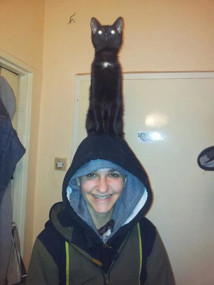 My Friends Cat :)