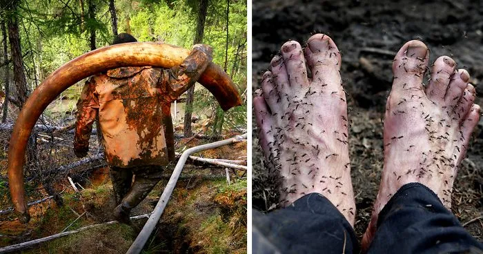Photographer Joins Illegal Mammoth Tusk Hunt In Siberia, Captures How They Get Rich, Get Drunk And Nearly Die