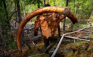 Photographer Joins Illegal Mammoth Tusk Hunt In Siberia, Captures How They Get Rich, Get Drunk And Nearly Die