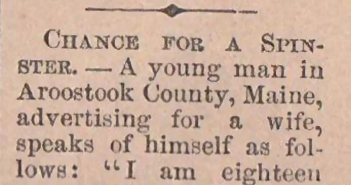 18-Year-Old Guy Is Looking For A Wife In 1865 And His Newspaper Ad Will Make You Want To Marry Him Now
