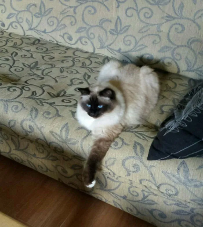 Nothing's Wrong, Just Chillin'