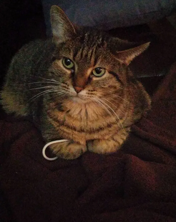 She's Always Stealing My Hair Ties