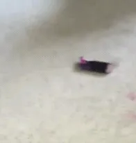 Pillada en rosa
