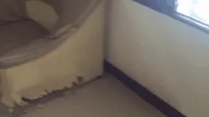 Pillado y atrapado