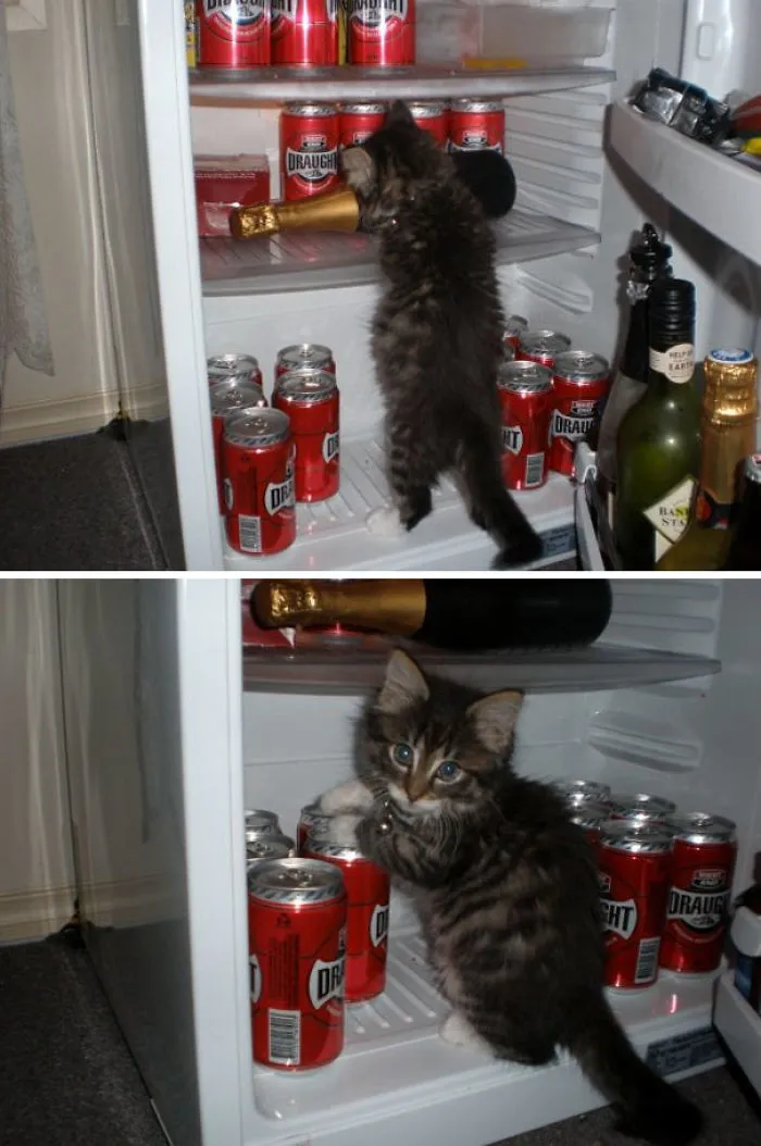 Caught In The Act