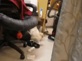Busted