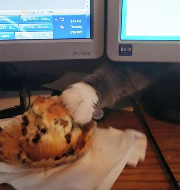 Thief!