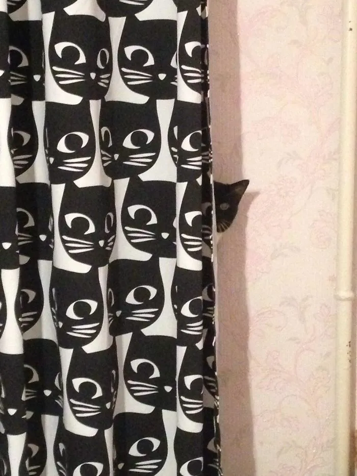You Don't See Me
