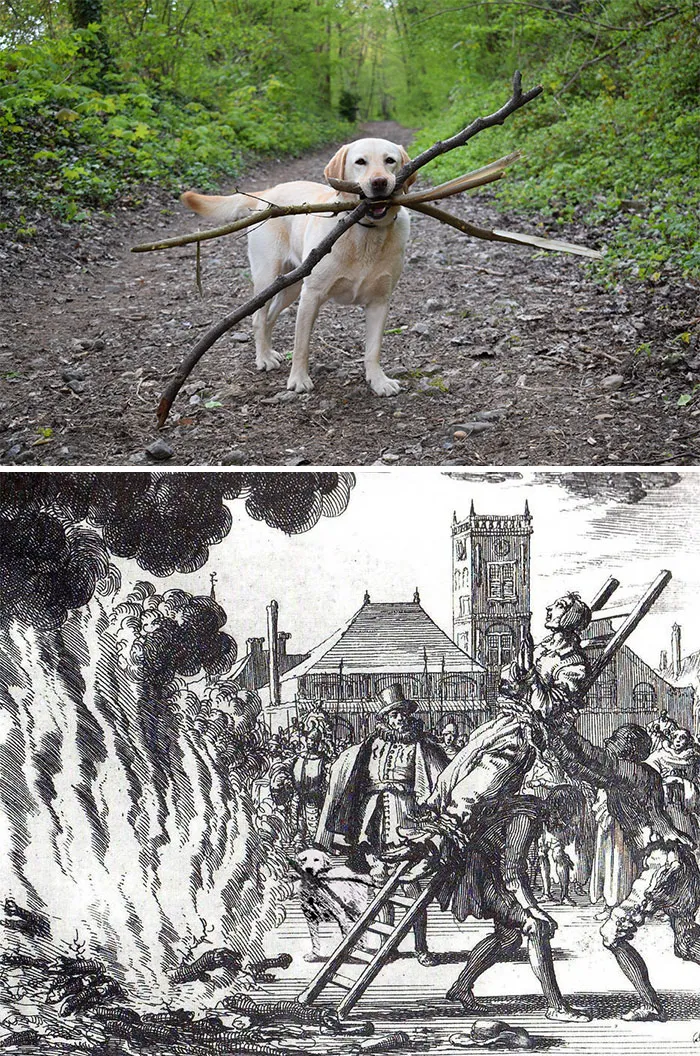 Dog carrying large sticks, creatively edited into a historical scene. Greatest Photoshop battles winners.