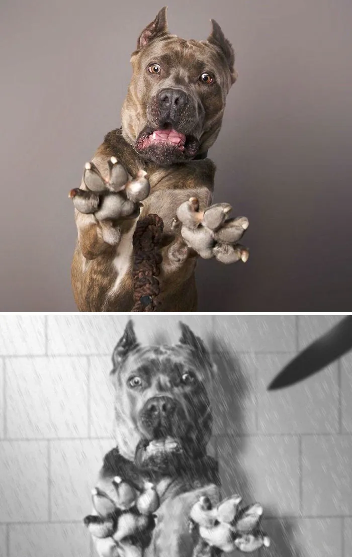 Psycho