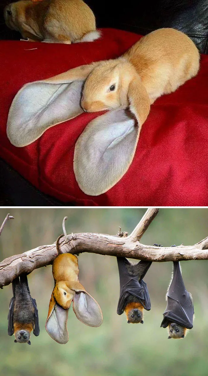 Just Hangin' With My Dudes