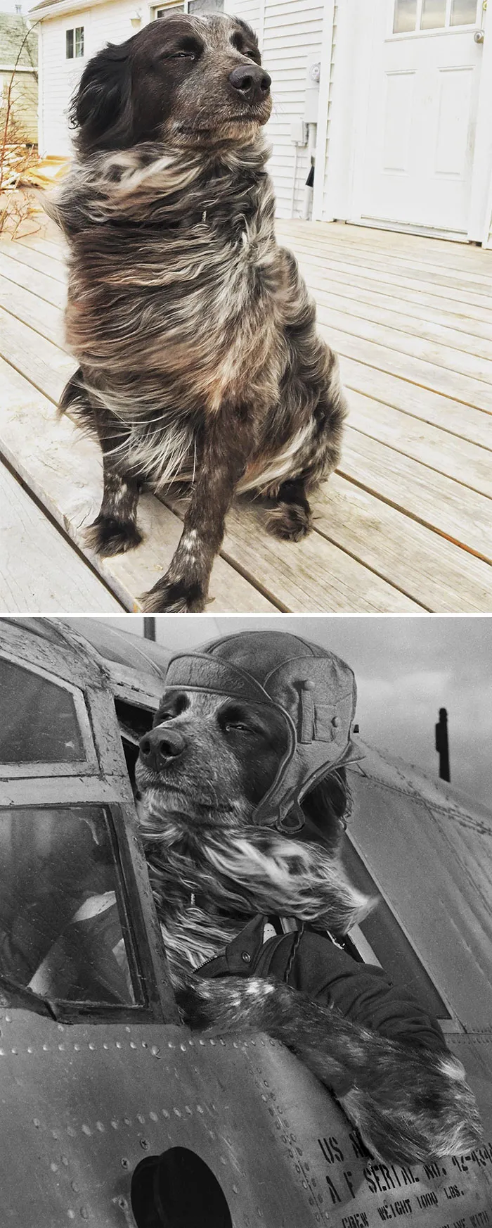 War Hero