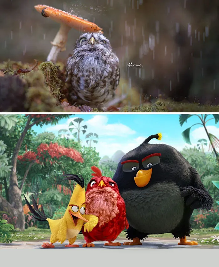 Angry Birds
