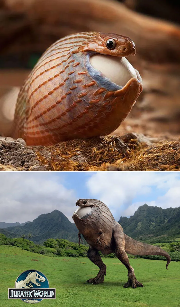 Snakeosaurus