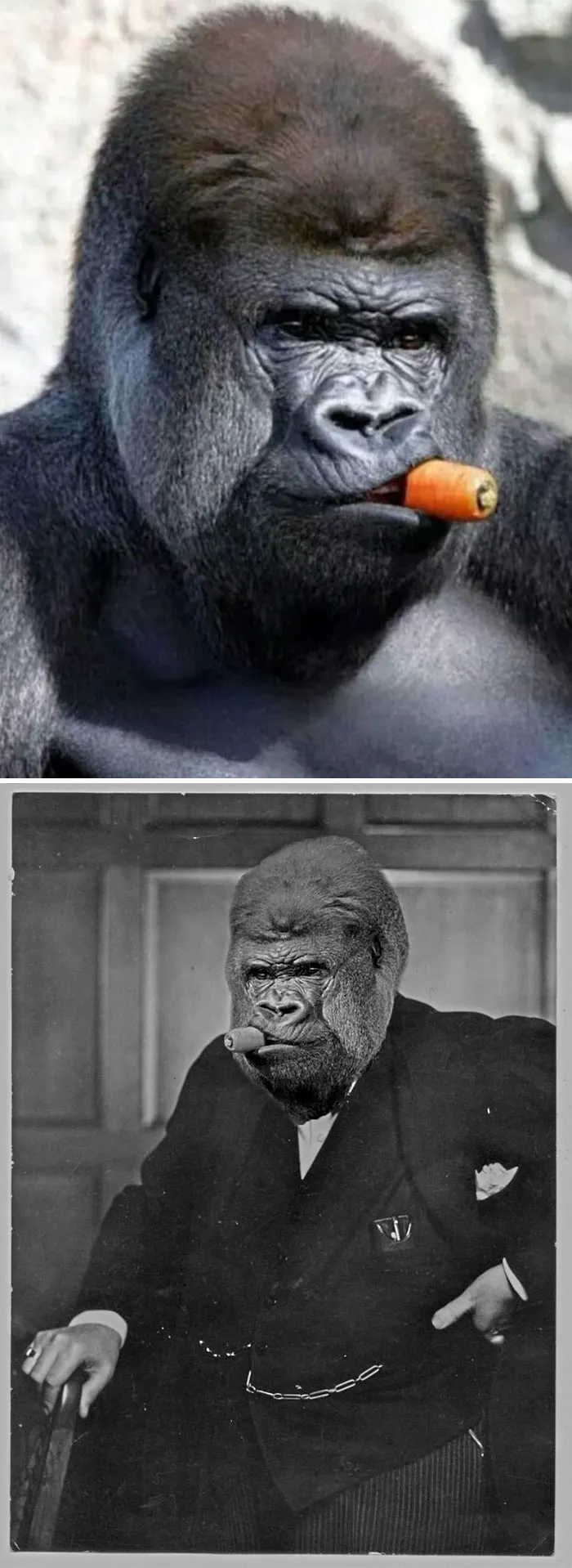 We Will Fight Them On The Beaches, And On The Monkey Bars!