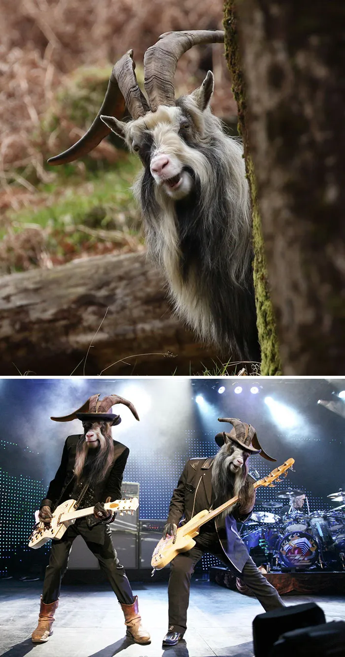 Zz Top