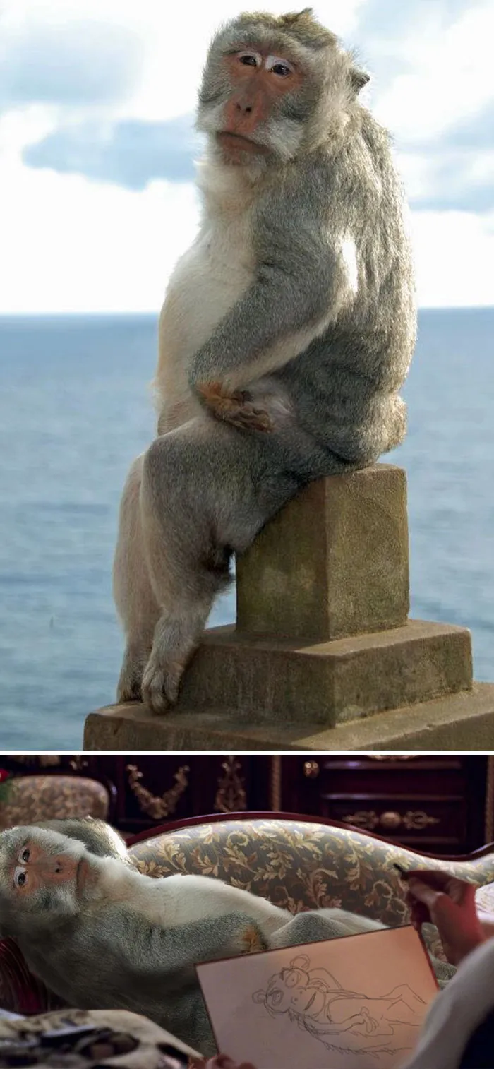 Monkey poses humorously in a creative Photoshop battle winner transformation.