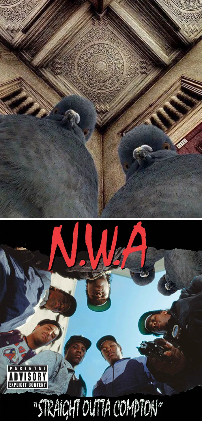 These Badass Pigeons