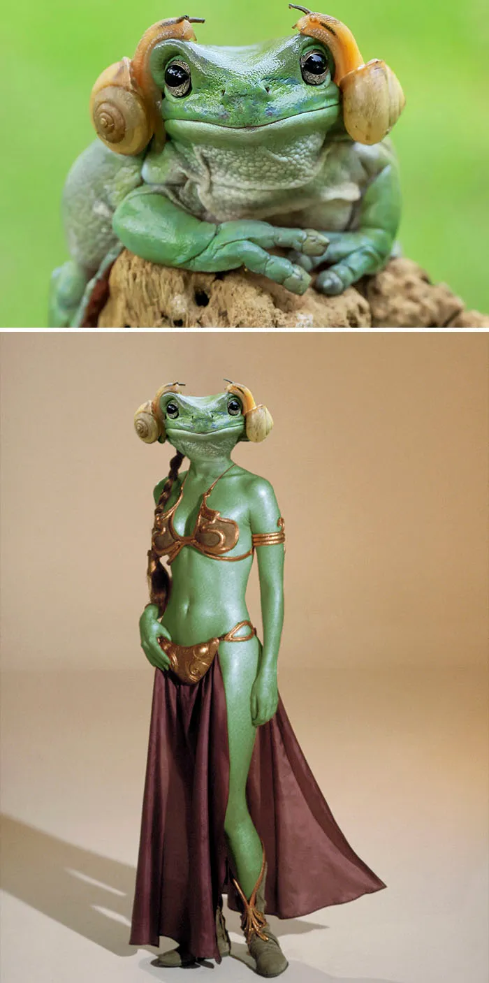 A Frog With Snails On Its Head, Resembling Princess Leia