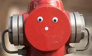 This Guys Are Sending Free Googly Eyes All Over The World!!