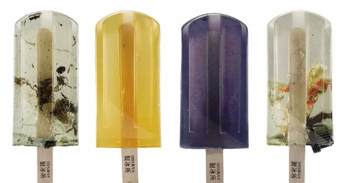 Popsicles Made From 100 Different Polluted Water Sources Grab World's Attention