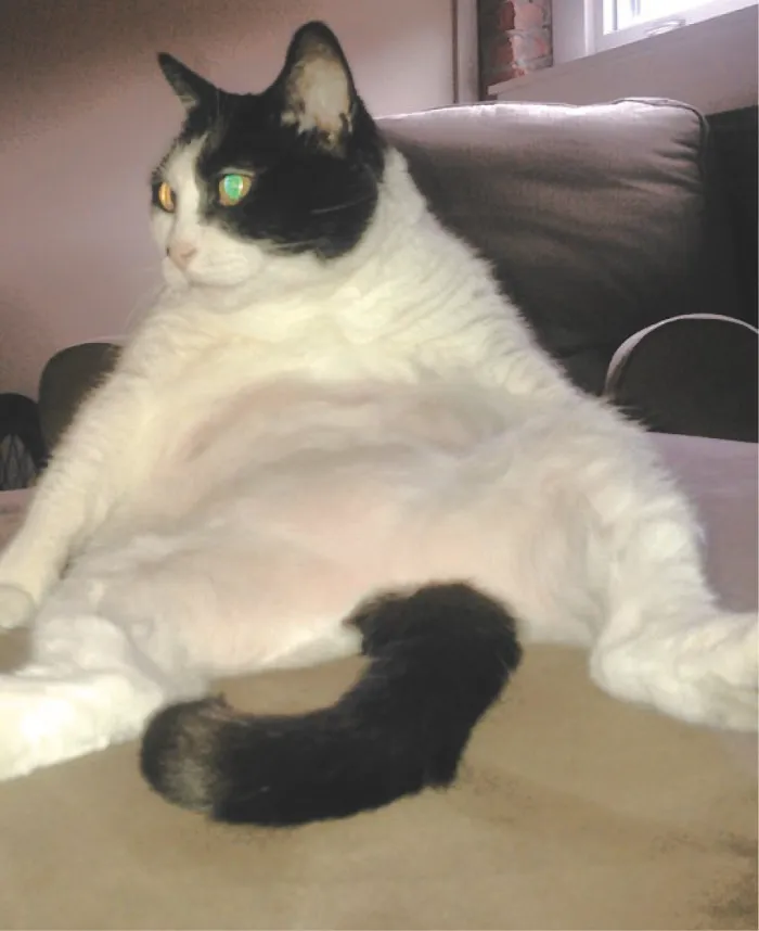 Sasha Lounging