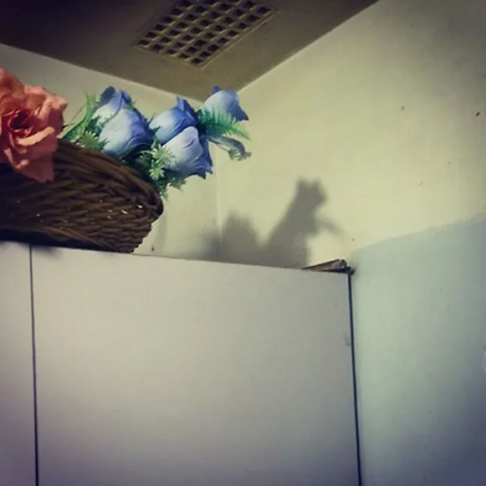 Estas flores tienen una sombra de ardilla