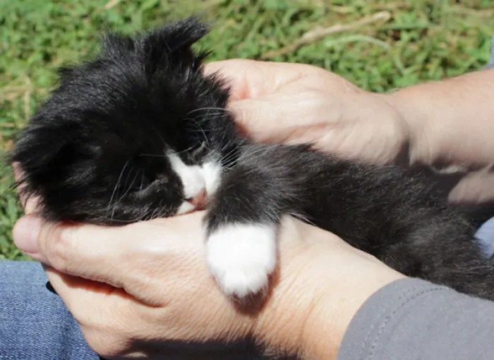 Harry Sunbathing For The First Time