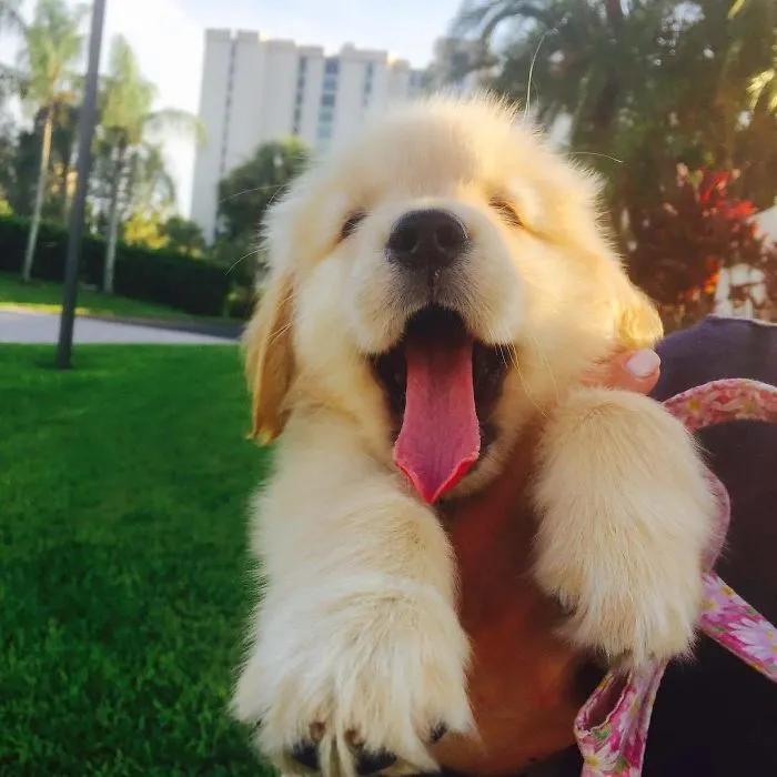 Es muy temprano para un paseo