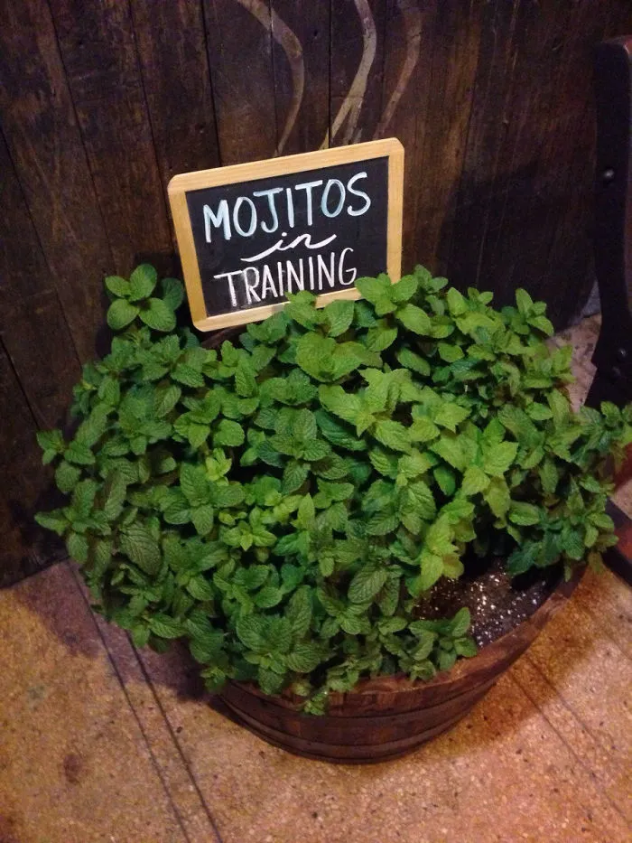 Saw This Outside A Local Restaurant