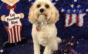 49 People Who Are Seriously Ready For 4th Of July (Add Your Pic)