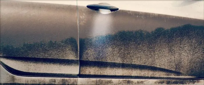 La puerta de este coche parece un ovni sobre un bosque