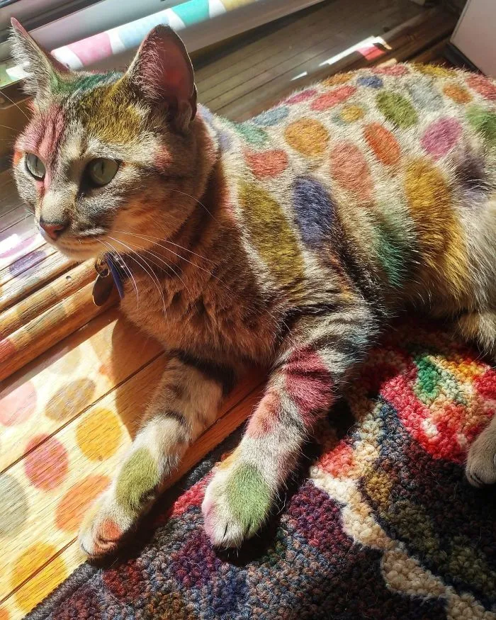 Mi madre ha puesto una decoración en la puerta por Pascua y ahora Gigi parece salido de un cuento