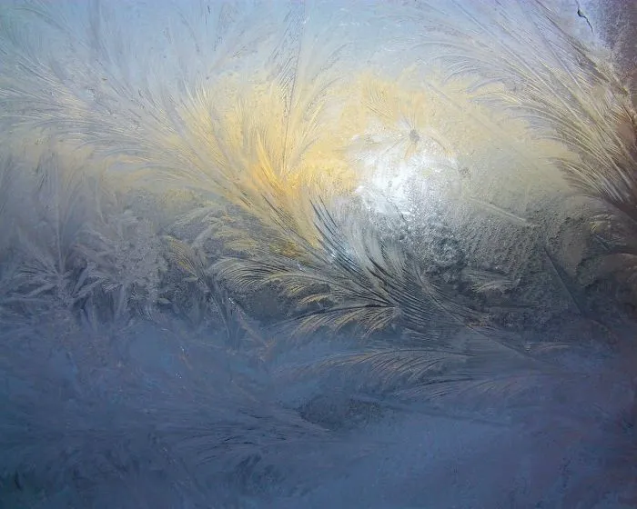 Looks Like An Impressionist Painting